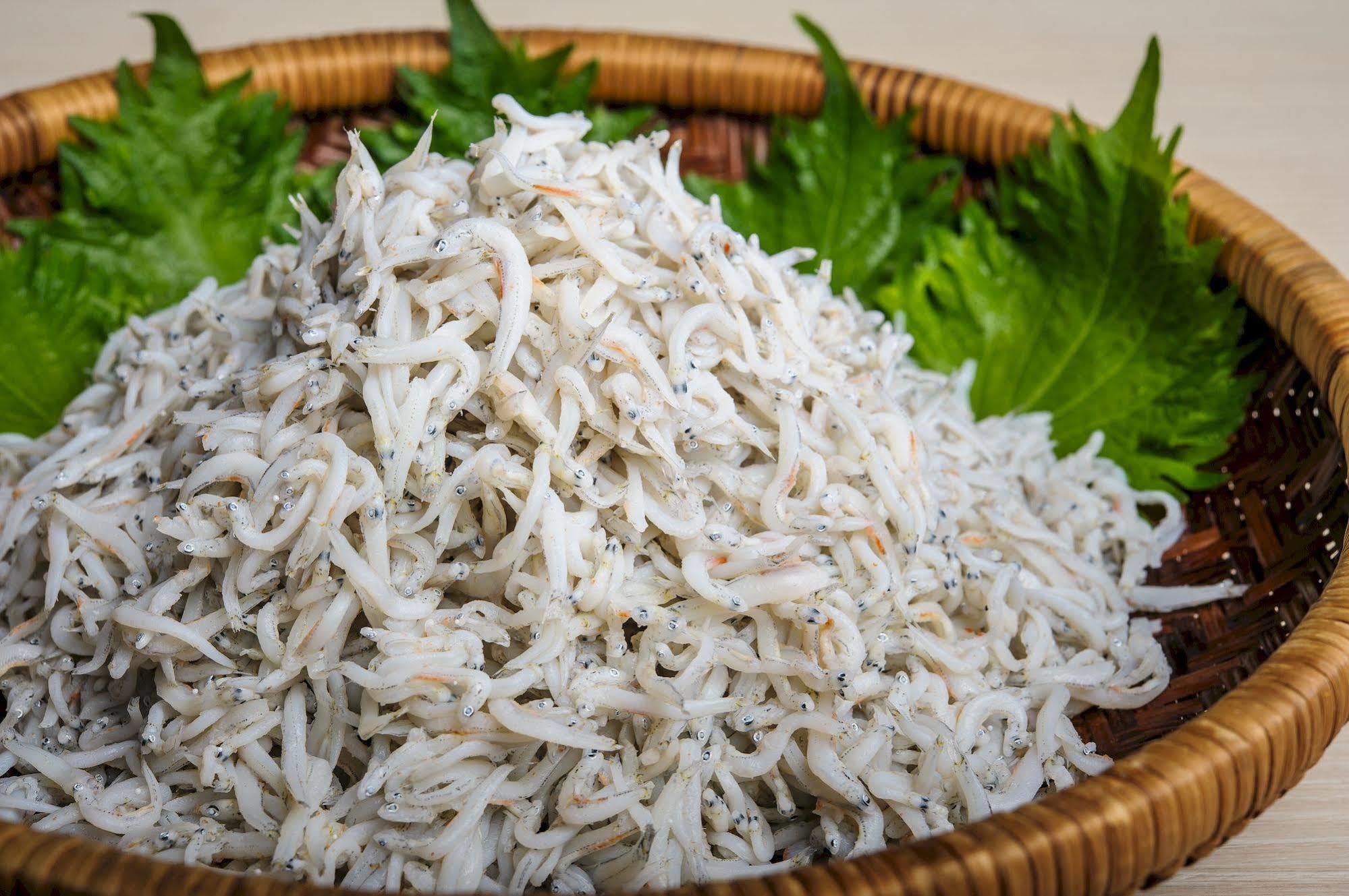 Sotetsu Fresa Inn Fujisawaeki Minamiguchi Dış mekan fotoğraf